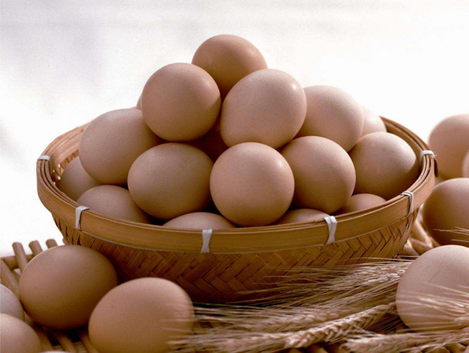懒龙龙工资主要是做农副产品供应,主要供应的产品就是蛋类.